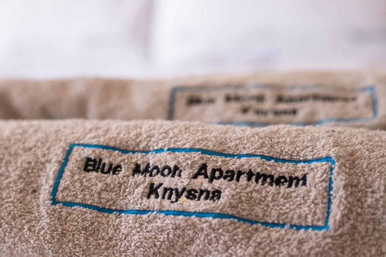 Blue Moon Apartments นิสนา ภายนอก รูปภาพ